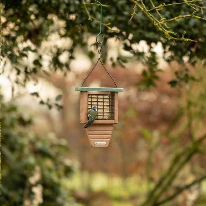 National Trust Peanut Cake Squares - Bundle Of 3 5 National Trust Peanut Cake Squares - Bundle Of 3 - Image 3