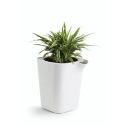 Self Watering Plant Pot -Bird Supply Store 563470119 4 1