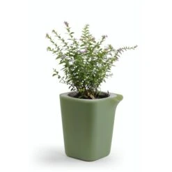 Self Watering Plant Pot -Bird Supply Store 563480119 2 1