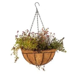 Metal Hanging Plant Basket With Coconut Inlay