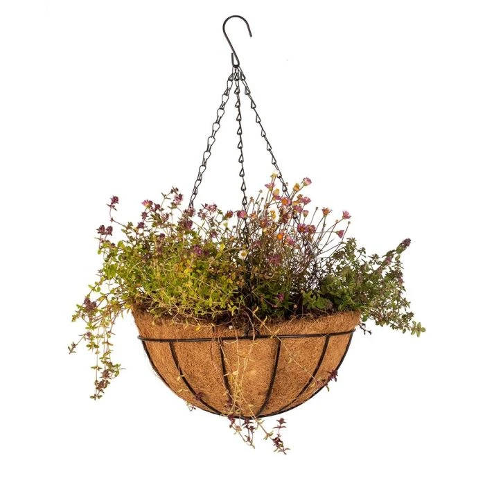 Metal Hanging Plant Basket With Coconut Inlay 3 Metal Hanging Plant Basket With Coconut Inlay