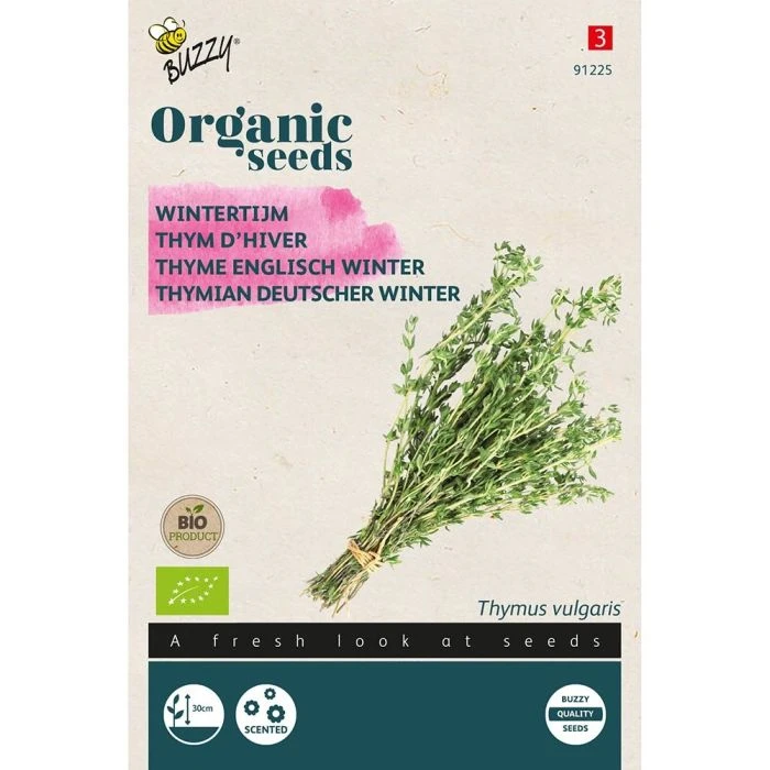 Buzzy® Organic Thyme - English Winter (BIO) 3 Buzzy® Organic Thyme - English Winter (BIO)