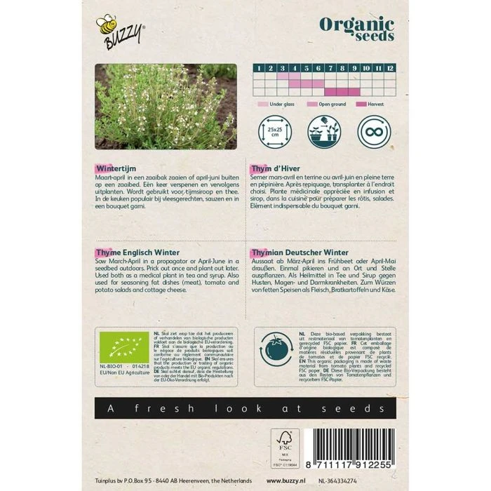 Buzzy® Organic Thyme - English Winter (BIO) 4 Buzzy® Organic Thyme - English Winter (BIO) - Image 2