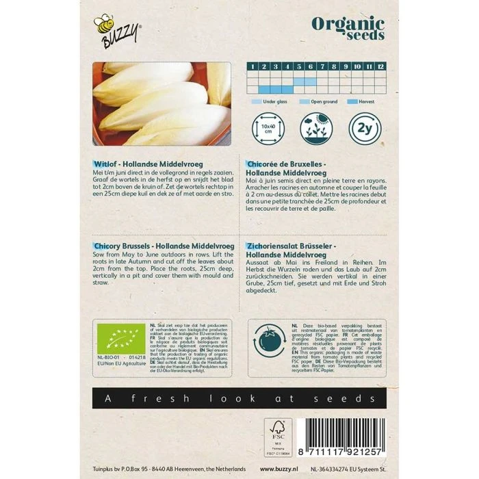 Buzzy® Organic Chicory - Brus Hol Middelv 4 Buzzy® Organic Chicory - Brus Hol Middelv - Image 2