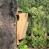 Treecreeper Nest Box -Bird Supply Store 90120 1