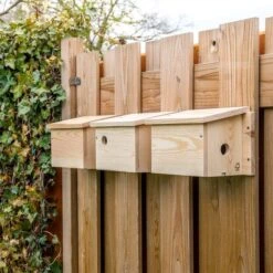 House Sparrow Multi Nest Box 34mm -Bird Supply Store 901670120 901690120 901680120 house sparrow multi box sw low res 9474 1