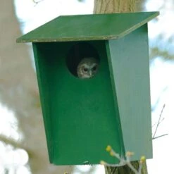 Tawny Owl, Stock Dove And Jackdaw Nest Box -Bird Supply Store 90316