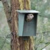 Tawny Owl, Stock Dove And Jackdaw Nest Box -Bird Supply Store 90327 5