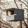 Kestrel Nest Box -Bird Supply Store 90329