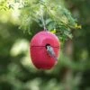 WoodStone® Malaga 32mm Nest Box (Red) 1 WoodStone® Malaga 32mm Nest Box (Red) -Bird Supply Store 904950119 malaga red nest box sw sem low res 0268