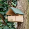 Blackbird Open Nest Box -Bird Supply Store 905100119 jvg 2951