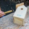 National Trust Build-Your-Own 32mm Nest Box -Bird Supply Store 905110121 10