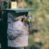 National Trust Birch Log Nest Box 32mm Hole 1 National Trust Birch Log Nest Box 32mm Hole -Bird Supply Store 90512 1