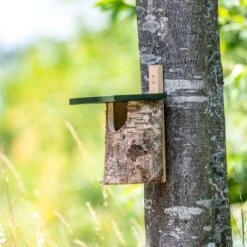 National Trust Birch Open Nest Box