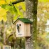 National Trust Blue Tit Nest Box 28mm Gift Set -Bird Supply Store 905340121 jvg 7615