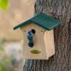 Bonaire 28mm Nest Box -Bird Supply Store 90535 1