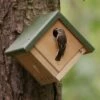 Jamaica 28mm Nest Box -Bird Supply Store 90537 1