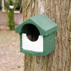 National Trust Green WoodStone Open Nest Box -Bird Supply Store 905960119 cjw woodstone small open green clip 2012 1