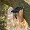 Travis 32mm Nest Box -Bird Supply Store 906120119 5