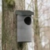WoodStone® Tawny Owl Nest Box -Bird Supply Store 90665 1 2