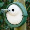 WoodStone® Alicante 28mm Nest Box (Green) -Bird Supply Store 90683