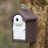 WoodStone® Seville 32mm Nest Box (Brown) -Bird Supply Store 90730 1
