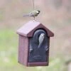 WoodStone® Salamanca 32mm Nest Box 1 WoodStone® Salamanca 32mm Nest Box -Bird Supply Store 90743 1