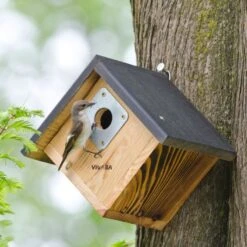 Alamo 32mm Nest Box
