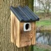 Bedford 32mm Oval Hole Nest Box -Bird Supply Store 90762