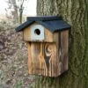 Denton 32mm Nest Box -Bird Supply Store 90767