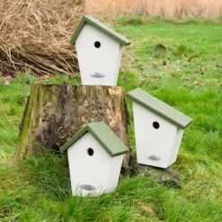Lausanne 32mm Nest Box -Bird Supply Store 90792 90791 90793 1 1