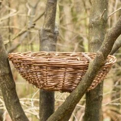 Nesting Basket For Long Eared Owl