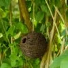 Machico Lounge Roosting Nest -Bird Supply Store 909220119 machico nester qpa9524