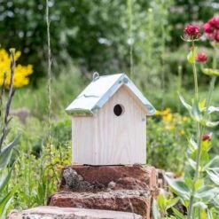 Bird Supply Store -Bird Supply Store 909760119 jvg 7178 1