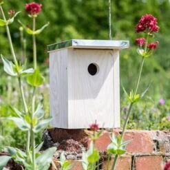 Bird Supply Store -Bird Supply Store 909770119 jvg 7197 1