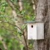 Rovaniemi 32mm Nest Box -Bird Supply Store 909770119 rovaniemi nest box 32 mm sw low res 9195