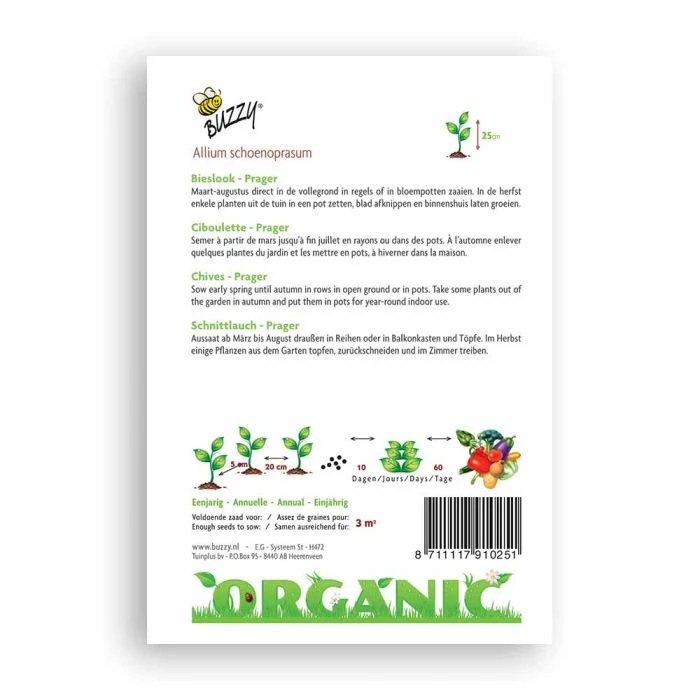 Buzzy® Organic Chives - Prager (BIO) 4 Buzzy® Organic Chives - Prager (BIO) - Image 2
