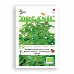 Buzzy® Organic Perennial Marjoram - Oregan