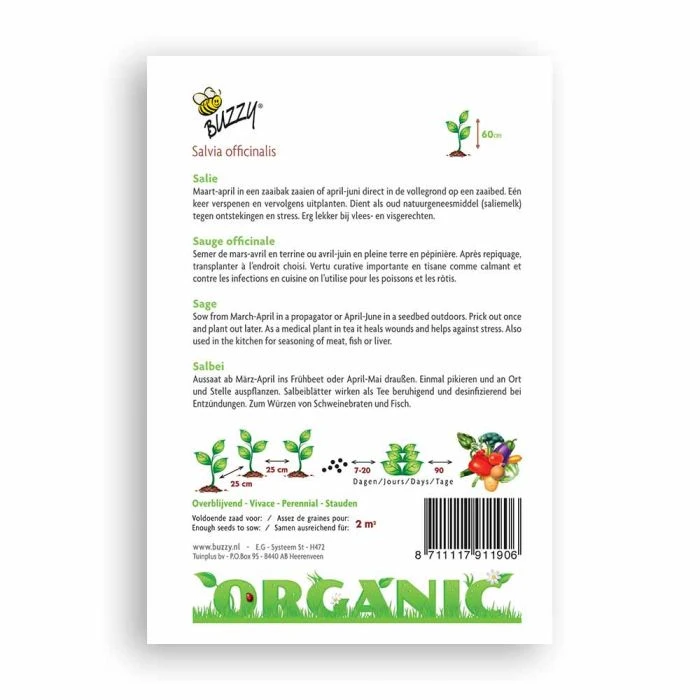 Buzzy® Organic Sage (BIO) 4 Buzzy® Organic Sage (BIO) - Image 2