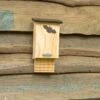 National Trust Glamis Bat Box 2 National Trust Glamis Bat Box -Bird Supply Store 914760421 2