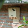 Falkenstein Bat Box -Bird Supply Store 914780119 falkenstein bat box dv 3000
