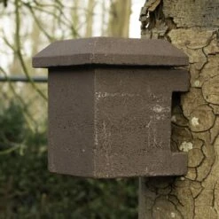 Hazel Dormouse Nest Box