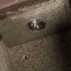 Hazel Dormouse Nest Box -Bird Supply Store 915020120 pro dormouse nest box 26mm 9714 qm