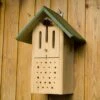 Butterfly & Bee Box -Bird Supply Store 92028 1