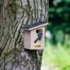 Montana 32mm Nest Box 2 Montana 32mm Nest Box -Bird Supply Store 920480119 montana