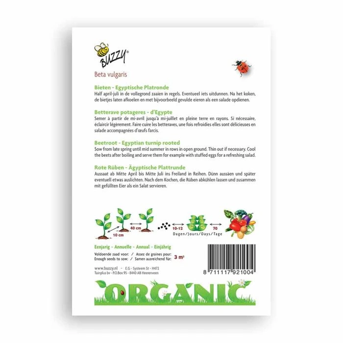 Buzzy® Organic Beetroot Turnip - Egyptian 4 Buzzy® Organic Beetroot Turnip - Egyptian - Image 2