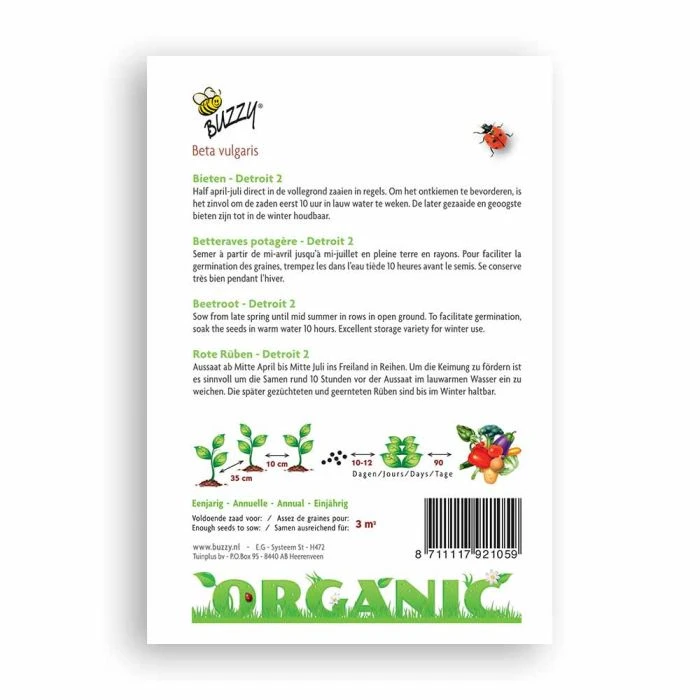 Buzzy® Organic Beetroot - Detroit 2 (BIO) 4 Buzzy® Organic Beetroot - Detroit 2 (BIO) - Image 2
