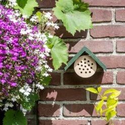 Bee Hotel Pantelleria -Bird Supply Store 92119 jvg 9084