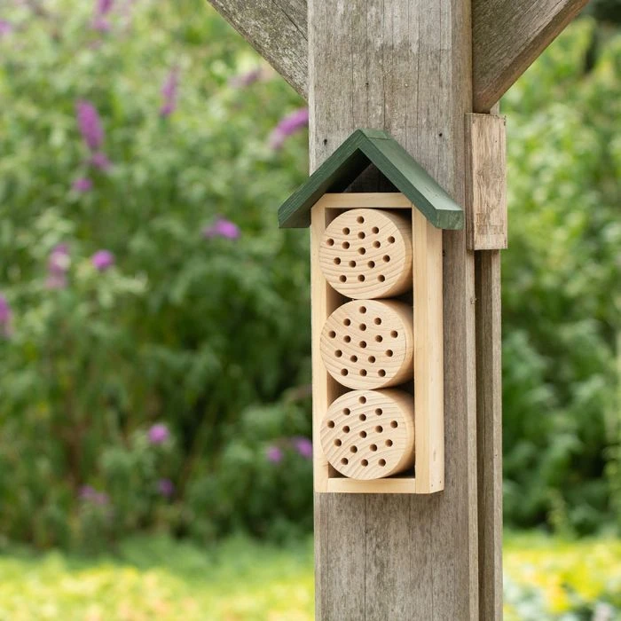 Bee Hotel Ustica 3 Bee Hotel Ustica - Image 2