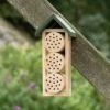 Bee Hotel Ustica -Bird Supply Store 92120 5